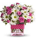Teleflora's Polka Dots and Posies Premier Flowers from Cottage Florist, Lakeland Fl 33813